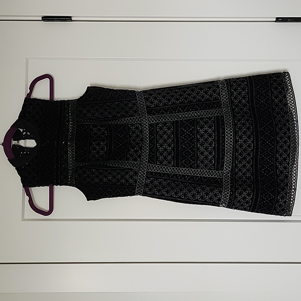 TopShop velvet embroidered dress.